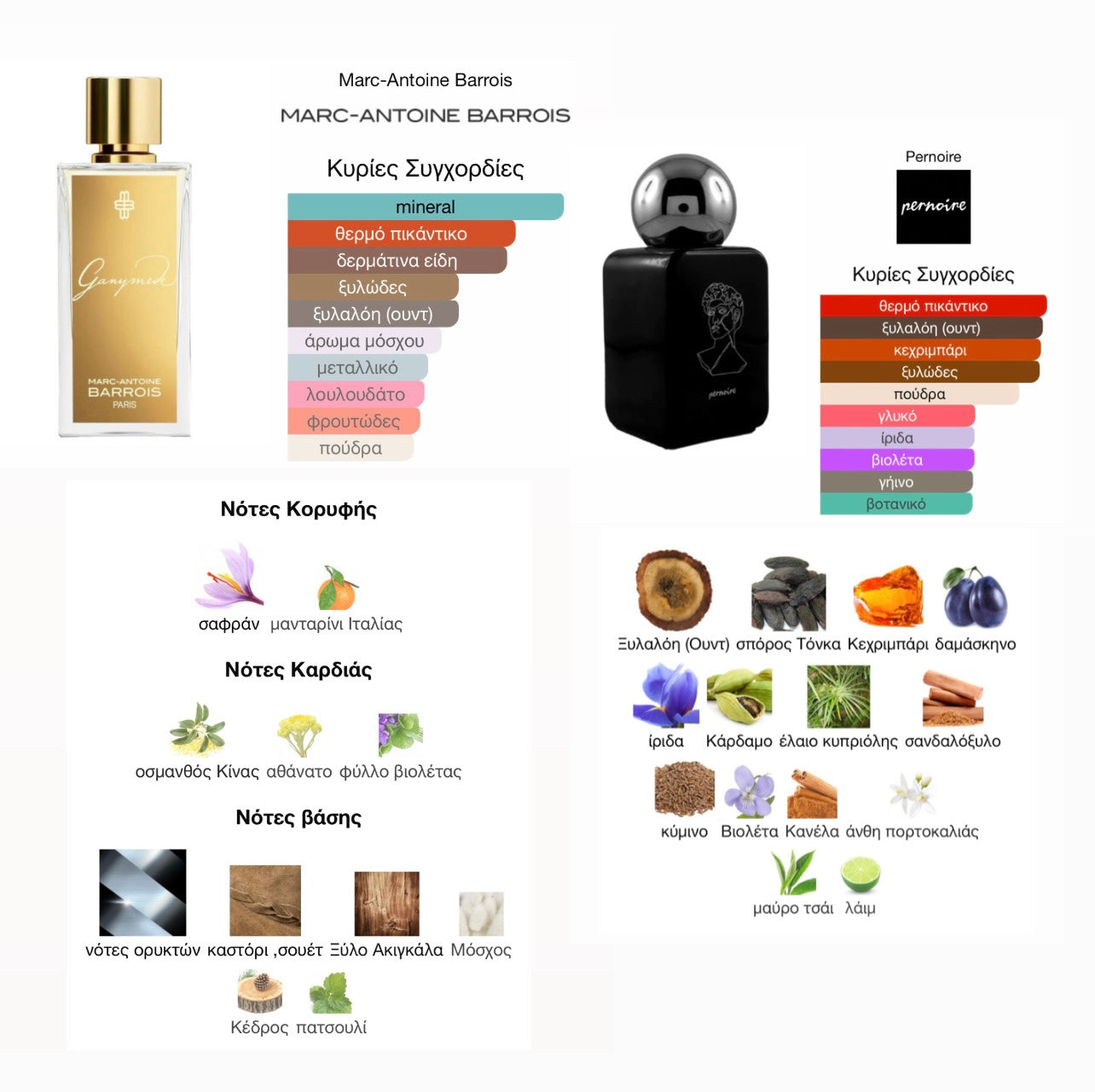 STRANGE SCENTS (NICHE) EXCLUSIVE BUNDLE