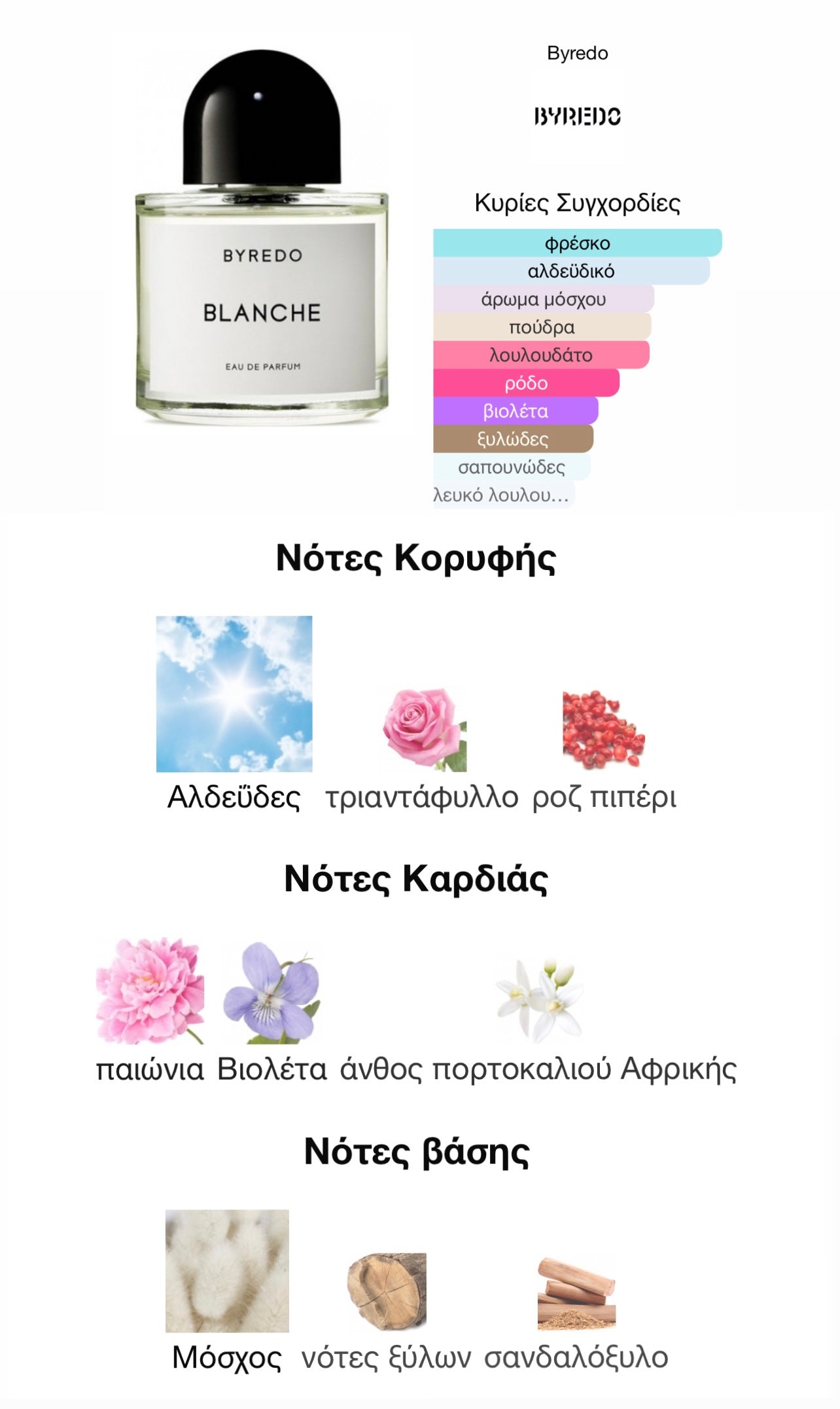 BLANCHE - BYREDO
